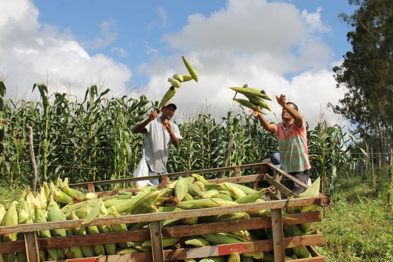 Crescimento e inovação: PIB de Sergipe sobe 3,1% em 2023 e ganha versão trimestral